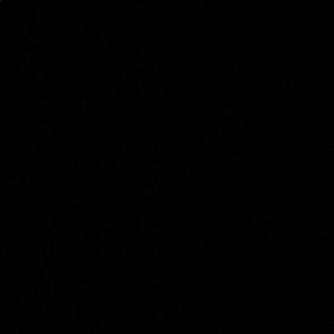 Meet your Posher, Summer